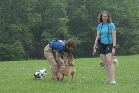 20250608_Dog park__DSC0232_.jpg