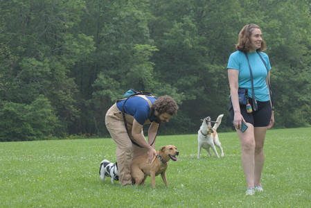 20250608_Dog park__DSC0235_.jpg