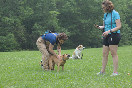 20250608_Dog park__DSC0237_.jpg