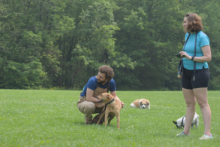 20250608_Dog park__DSC0253_.jpg