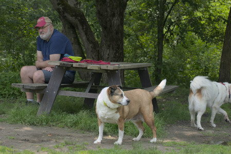 20250608_Dog park__DSC0258_.jpg