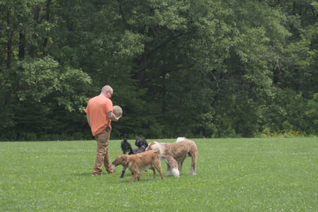 20250608_Dog park__DSC0259_.jpg