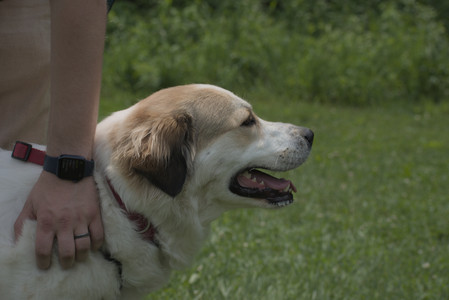 20250608_Dog park__DSC0293_.jpg