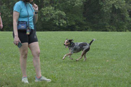 20250608_Dog park__DSC0320_.jpg