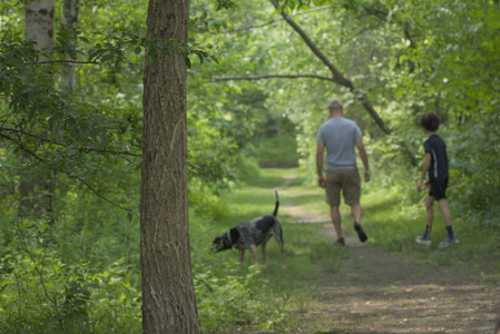 20250608_Dog park__DSC0345_.jpg