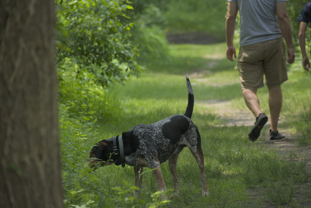 20250608_Dog park__DSC0346_.jpg