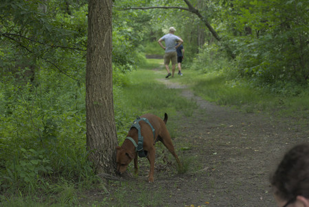 20250608_Dog park__DSC0348_.jpg