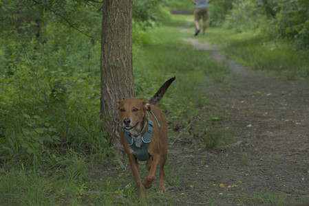20250608_Dog park__DSC0351_.jpg