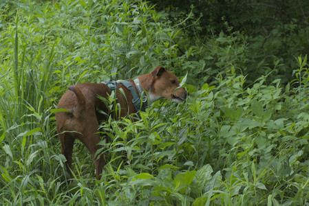 20250608_Dog park__DSC0352_.jpg