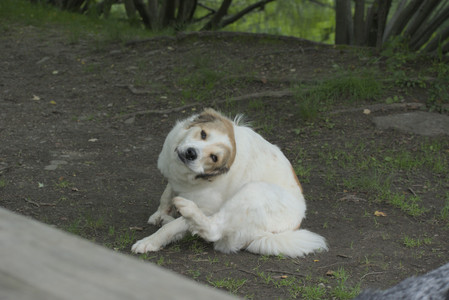 20250608_Dog park__DSC0355_.jpg