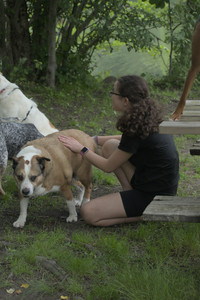 20250608_Dog park__DSC0360_.jpg