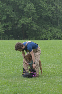 20250608_Dog park__DSC0362_.jpg