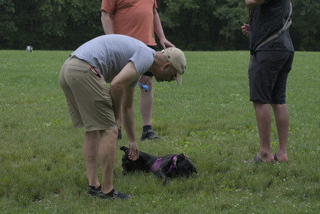 20250608_Dog park__DSC0387_.jpg