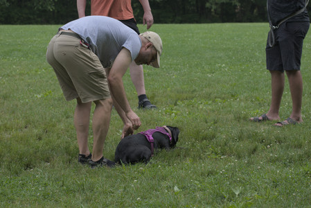 20250608_Dog park__DSC0390_.jpg