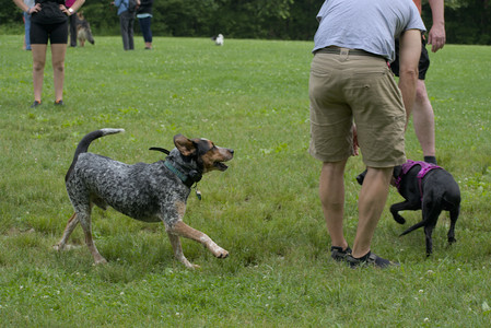 20250608_Dog park__DSC0392_.jpg