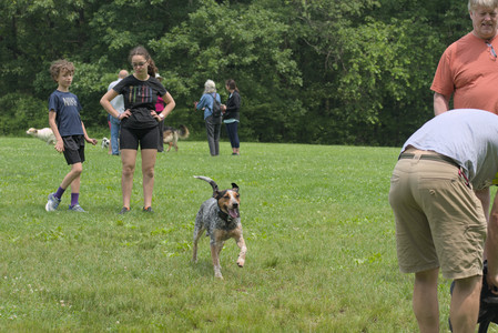 20250608_Dog park__DSC0394_.jpg