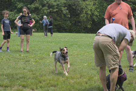 20250608_Dog park__DSC0396_.jpg