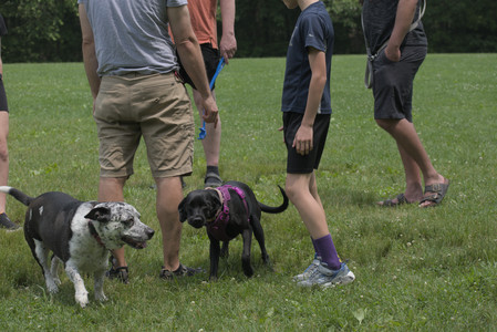 20250608_Dog park__DSC0405_.jpg