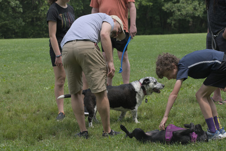 20250608_Dog park__DSC0407_.jpg
