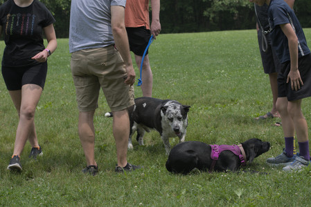 20250608_Dog park__DSC0408_.jpg
