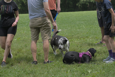 20250608_Dog park__DSC0409_.jpg