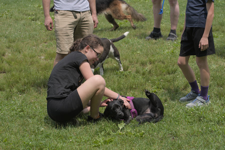 20250608_Dog park__DSC0415_.jpg