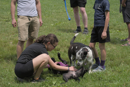 20250608_Dog park__DSC0423_.jpg