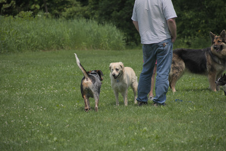 20250608_Dog park__DSC0444_.jpg