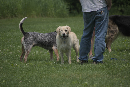 20250608_Dog park__DSC0450_.jpg