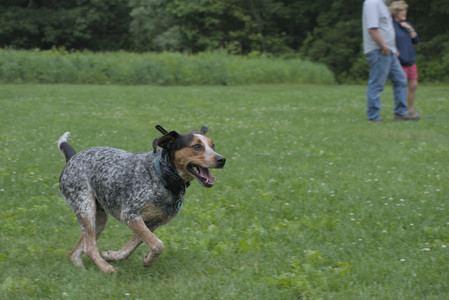 20250608_Dog park__DSC0476_.jpg