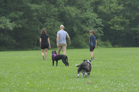 20250608_Dog park__DSC0483_.jpg