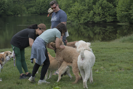 20250608_Dog park__DSC0486_.jpg