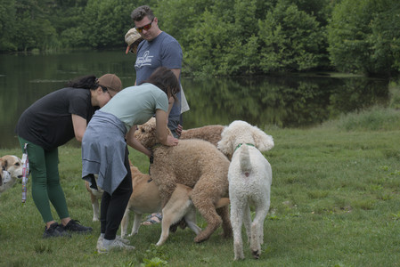 20250608_Dog park__DSC0487_.jpg