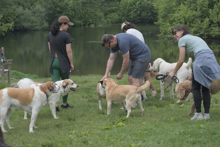 20250608_Dog park__DSC0488_.jpg