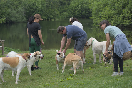 20250608_Dog park__DSC0489_.jpg