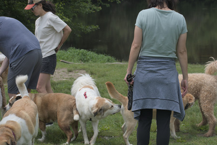 20250608_Dog park__DSC0490_.jpg