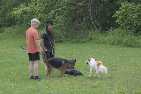 20250608_Dog park__DSC0498_.jpg