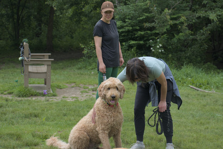 20250608_Dog park__DSC0501_.jpg