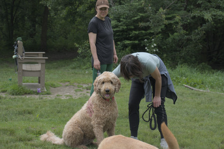 20250608_Dog park__DSC0502_.jpg