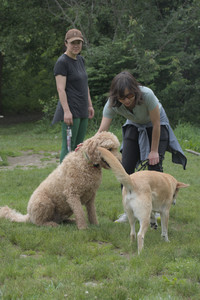 20250608_Dog park__DSC0503_.jpg