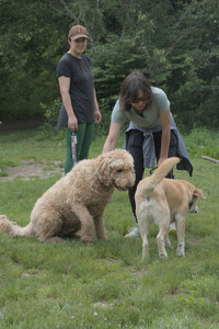 20250608_Dog park__DSC0504_.jpg