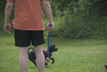 20250608_Dog park__DSC0539_.jpg