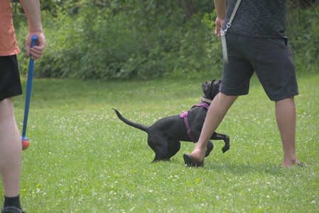 20250608_Dog park__DSC0541_.jpg