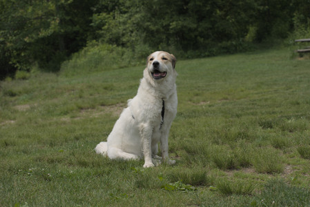 20250608_Dog park__DSC0609_.jpg