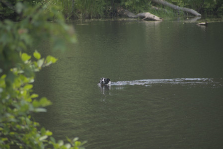 20250608_Dog park__DSC0628_.jpg