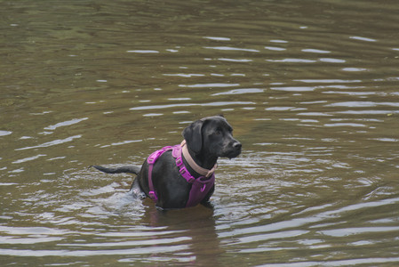 20250608_Dog park__DSC0643_.jpg