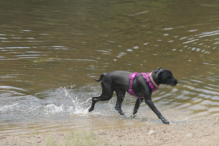 20250608_Dog park__DSC0649_.jpg