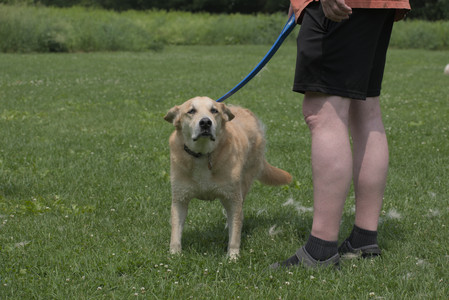 20250608_Dog park__DSC0664_.jpg