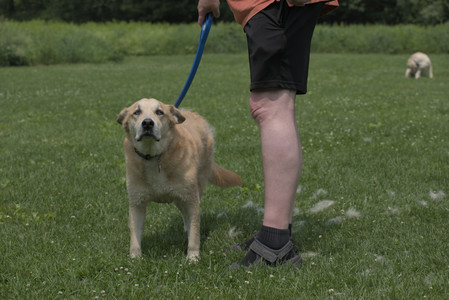 20250608_Dog park__DSC0666_.jpg