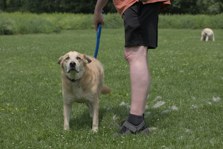 20250608_Dog park__DSC0667_.jpg